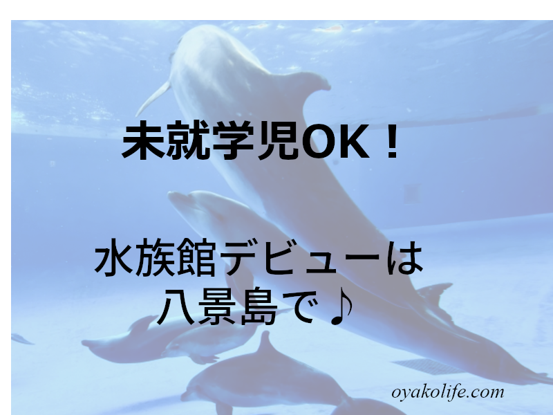 横浜八景島シーパラダイス！未就学児とお出かけ